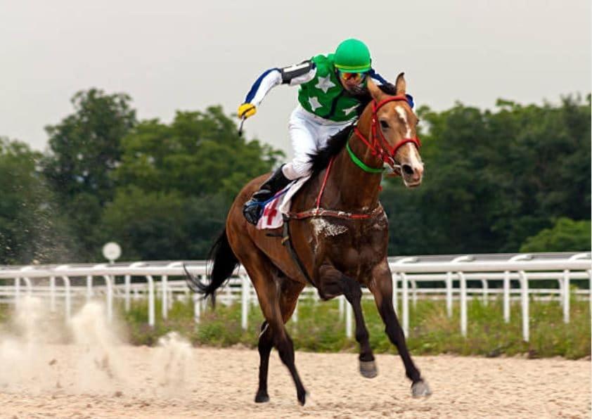 Charmant 2 Pieces A 500 M Des Plages Et Du Centre 꺄부흐 외부 사진