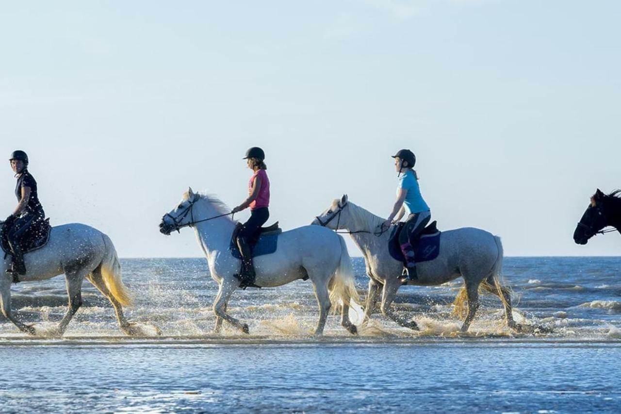 Charmant 2 Pieces A 500 M Des Plages Et Du Centre 꺄부흐 외부 사진